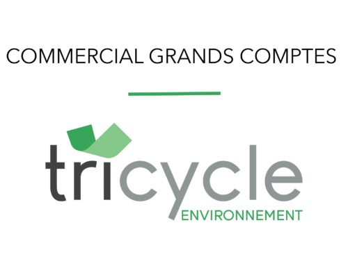 Commercial Grands Comptes