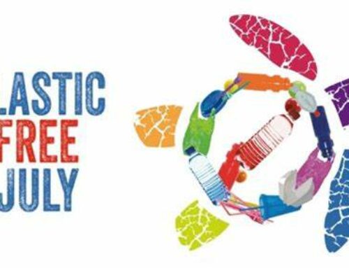 Juillet sans plastique : nos dix conseils pour réduire les plastiques en entreprise